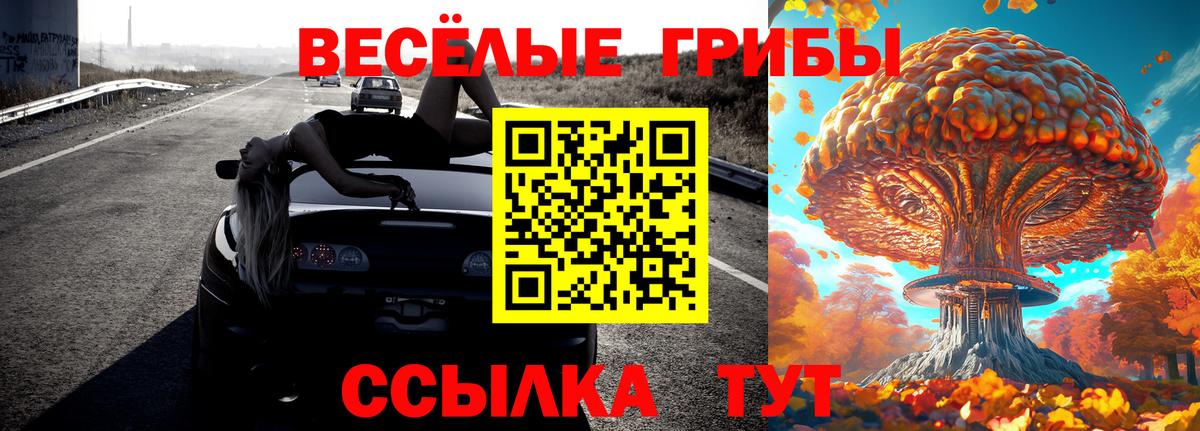 Псилоцибиновые грибы мухоморы  Галлюциногенные грибы GOLDEN TEACHER  Шали  как найти закладки  Вход с VPN 